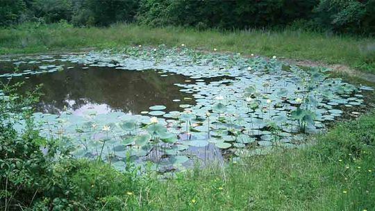 Landowners invited to free conservation expo