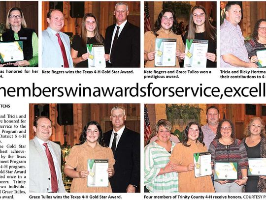 4-H members win awards for service, excellence