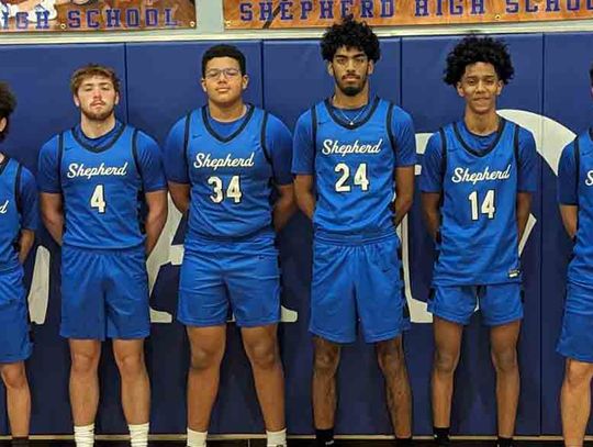 Area hoops gain  all-district nods