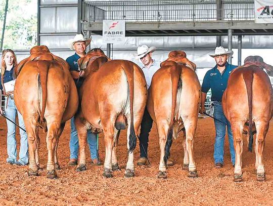 Brahman ranch wins awards