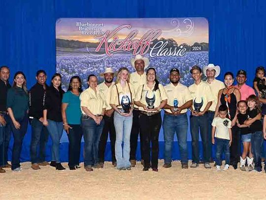 County  cattle win awards