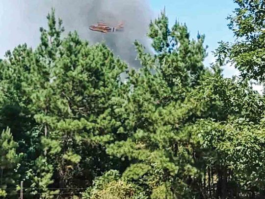 County departments battle forest fire