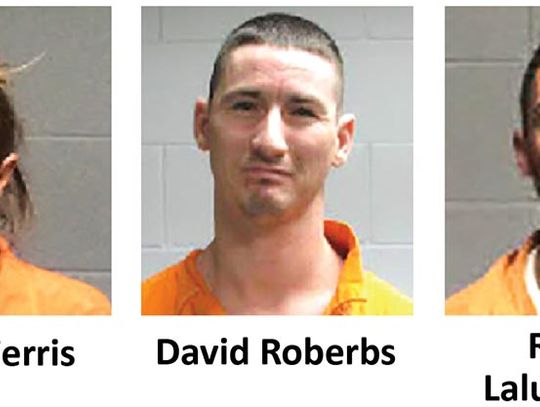 Disturbance nets three arrests