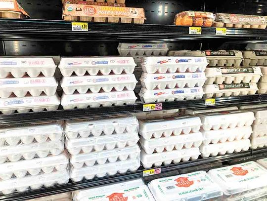 Egg prices are high, could go higher