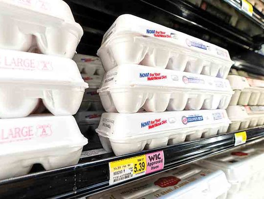 Egg prices plummet as  supplies outpace demand