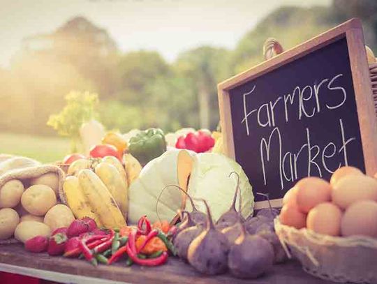 Farmers Market launches in Colmesneil