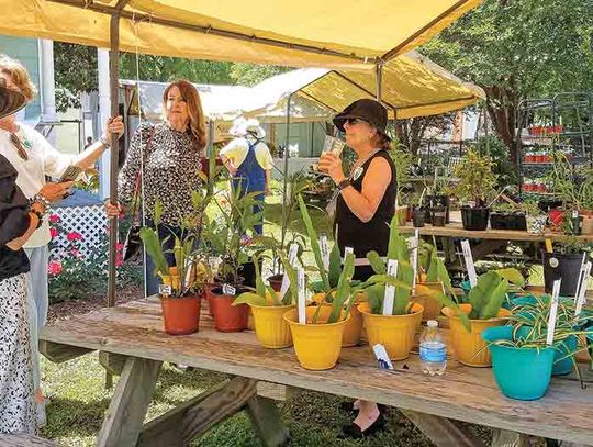 GARDEN CLUB CELEBRATES 75 YEARS