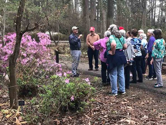 Garden Club visits Ruby Mize Azalea Garden