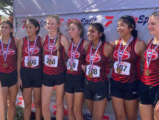 Groveton girls take 3rd at regional meet