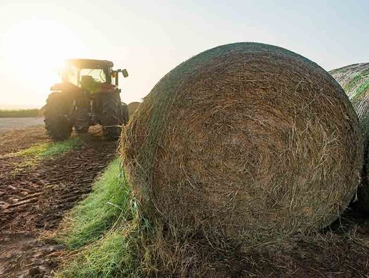 Hay supplies remain tight for Texas cattle producers