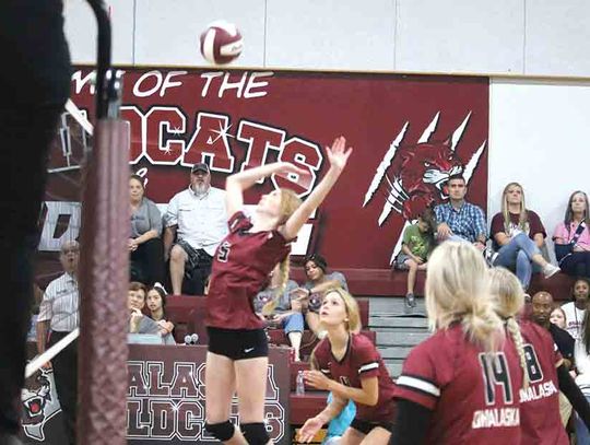 Lady Cats serve up sweep