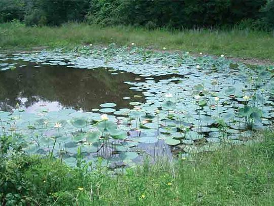 Landowners invited to free conservation expo