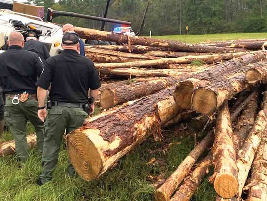 Logging truck overturns