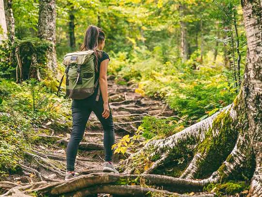 Nature Hike