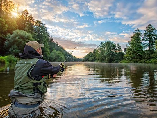 Pineywoods Region Week of June 21, 2023