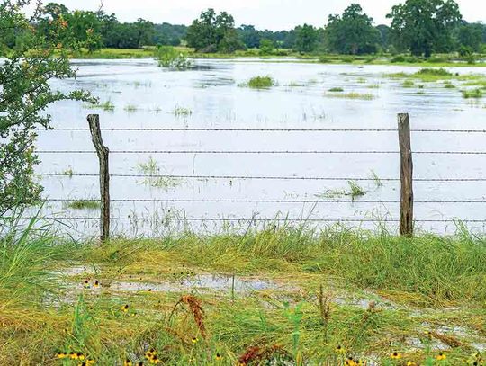 Prolonged heavy rainfall causing flooding, livestock safety concerns