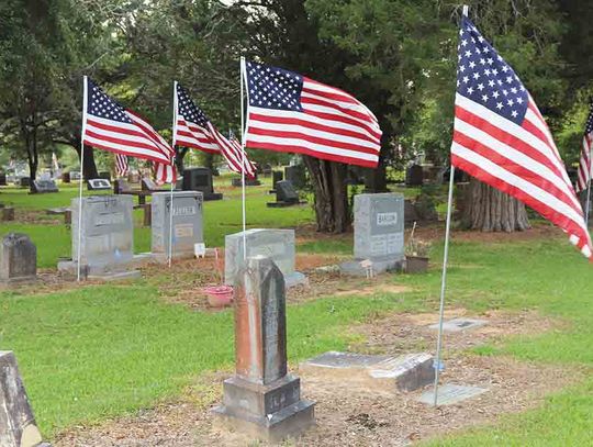 Rotarians hear program on Memorial Day project