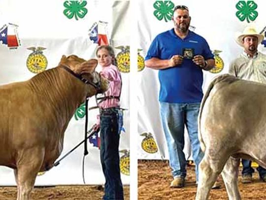 SISTERS WIN GRAND AND RESERVE