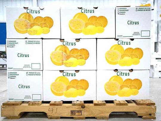 South Texas citrus poised for a comeback