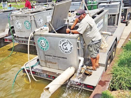 STOCKING LAKE LIVINGSTON