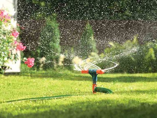 Summer lawn irrigation