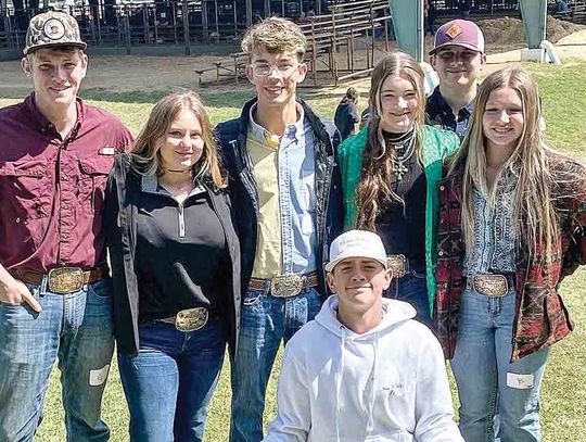 Team succeeds in FFA judging competitions