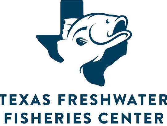 Texas fish art contest now accepting entries