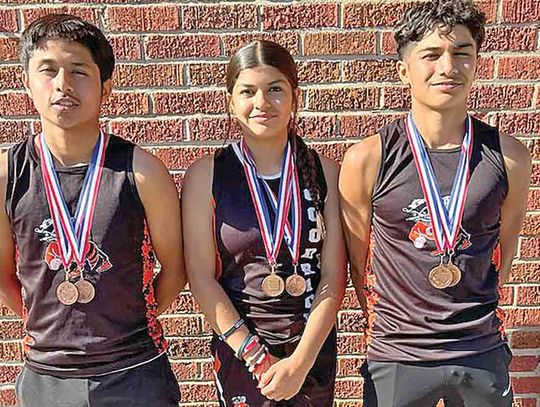 Three Hornets buzzing at area track meet