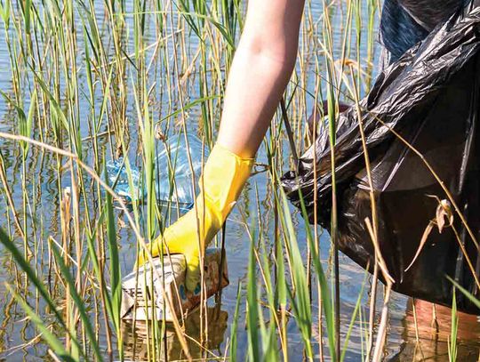 Time to clean shoreline