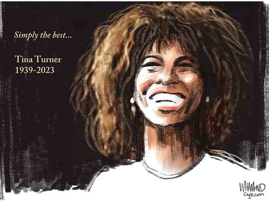 Tina Turner was  simply the best