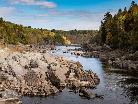 TPWD seeking input for the 2024 land, water plan