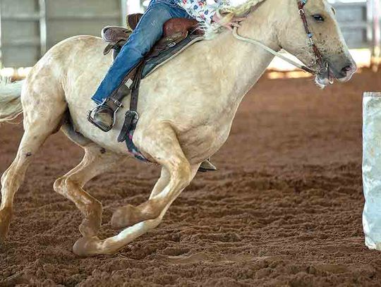 Upcoming dance will kick off annual youth rodeo