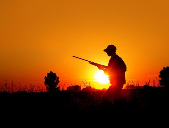 Wardens offer tips for safe, enjoyable dove hunt