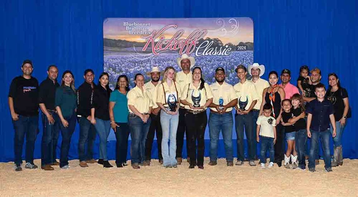 County  cattle win awards