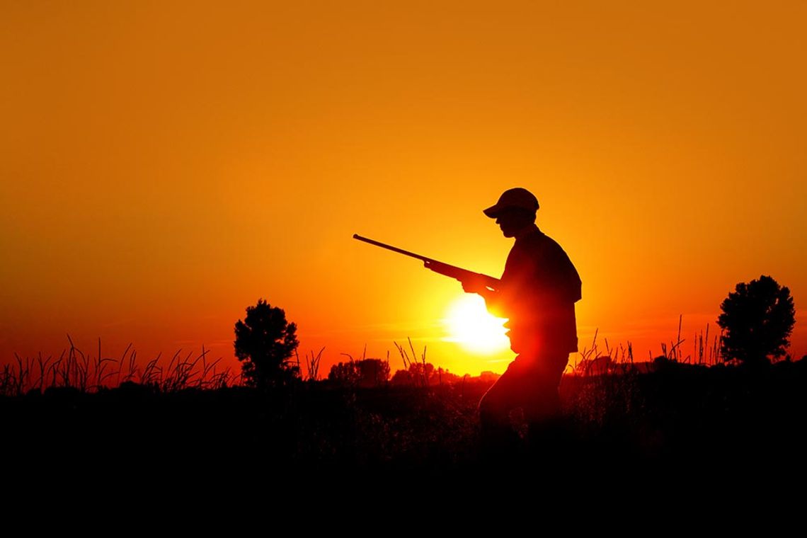 Wardens offer tips for safe, enjoyable dove hunt