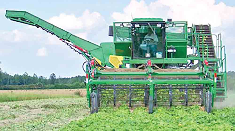 Cucumber Harvester Image Credit to Matt Milkovich, Vegetable Growers News