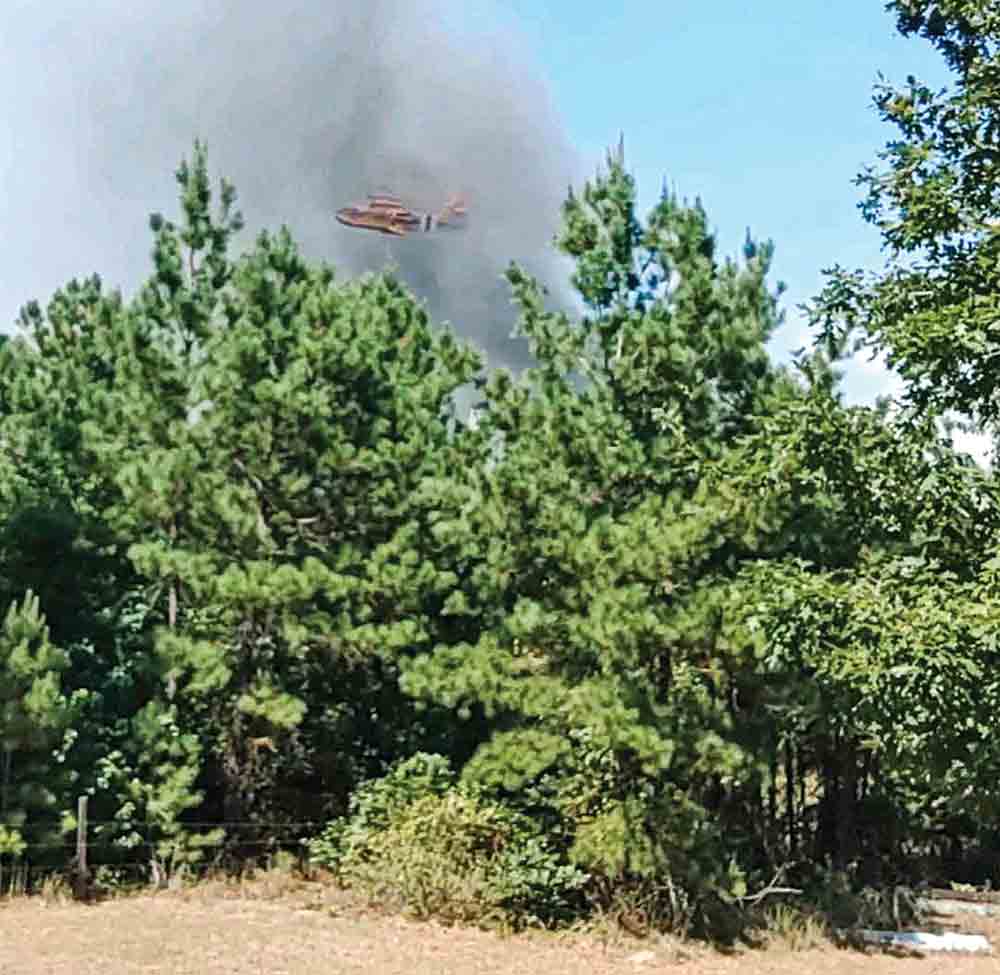 Crews from across San Jacinto County helped battle a blaze that consumed about 275 acres last week. Photos courtesy of Emmett Eldridge