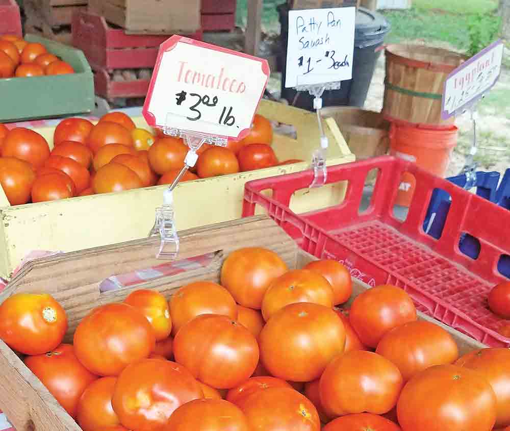 FreshTomatoes