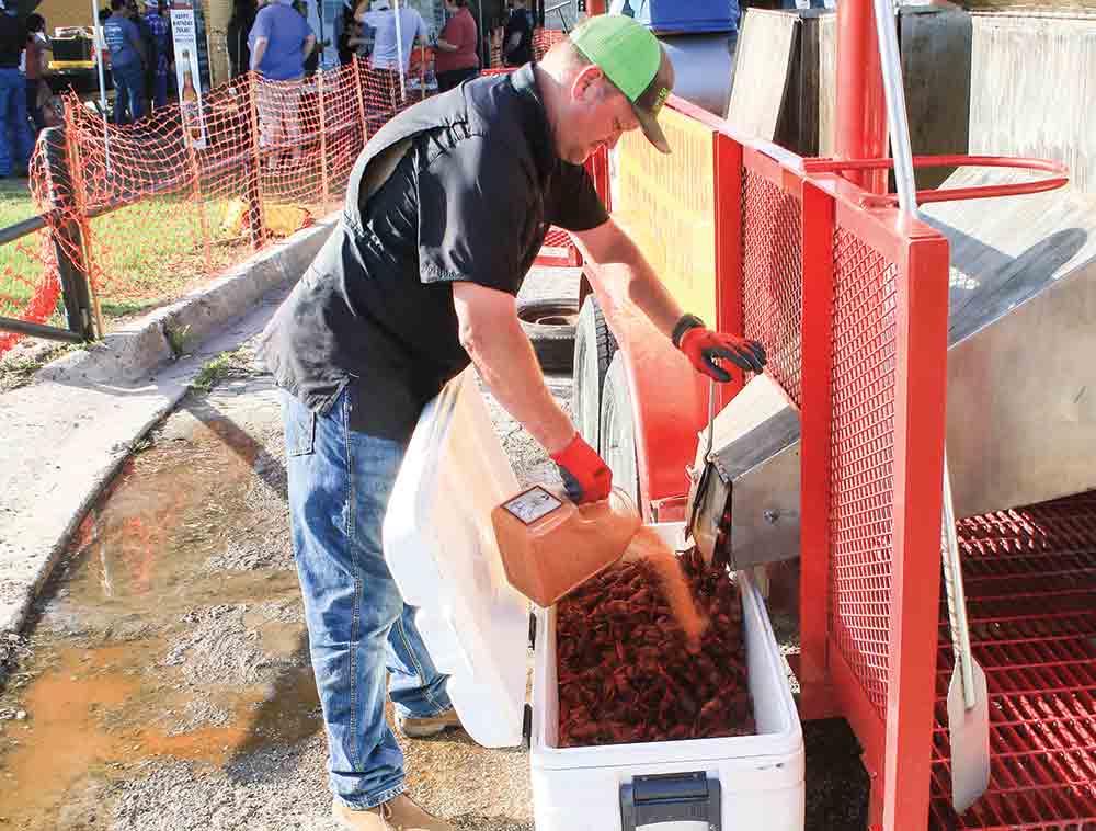 The crawfish get a shot of signature seasoning. PHOTO BY TONY FARKAS