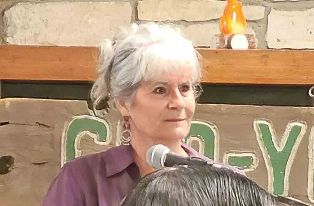 Polk County Judge Sydney Murphy takes questions from those in attendance at Camp Cho-Yeh Tuesday. Photo by Brian Besch