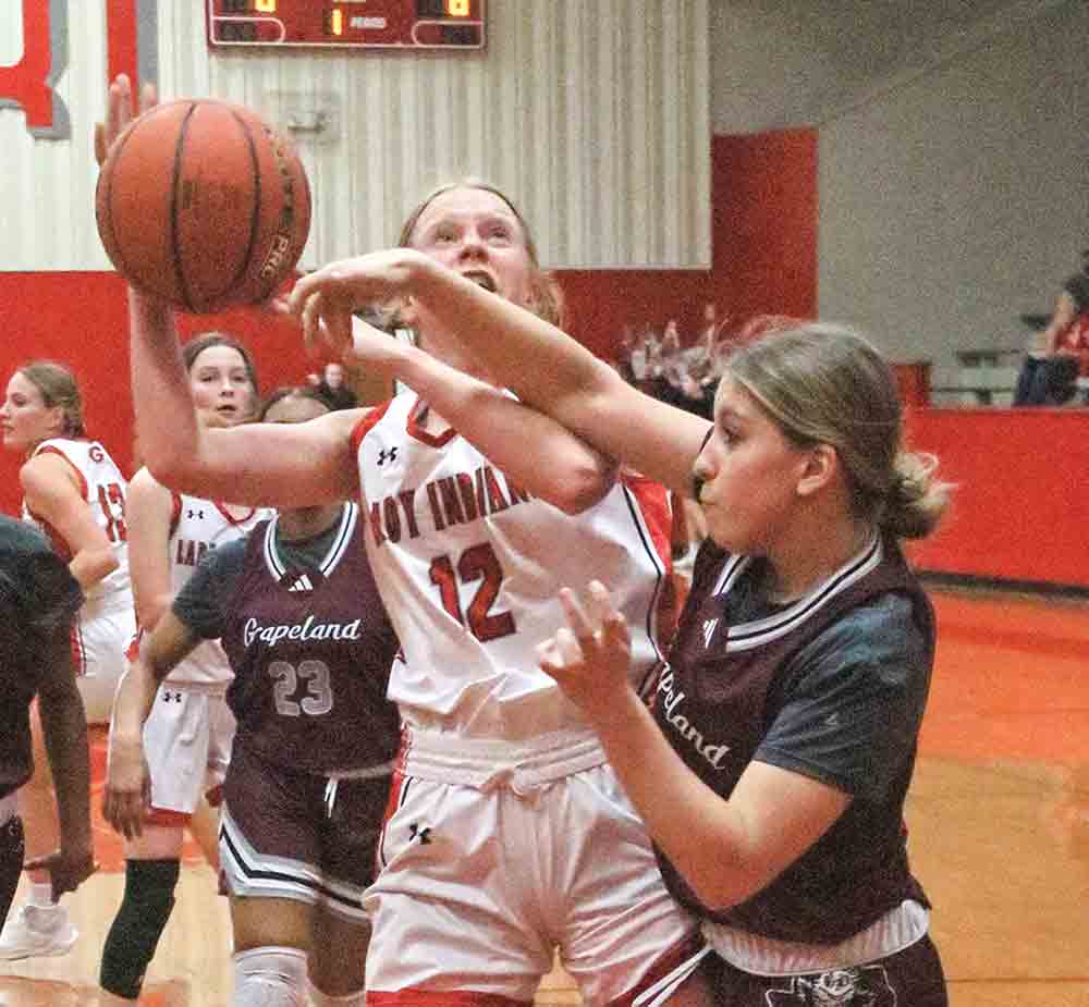 Laney Peterson (No. 12) looks to shoot through the crowd. 