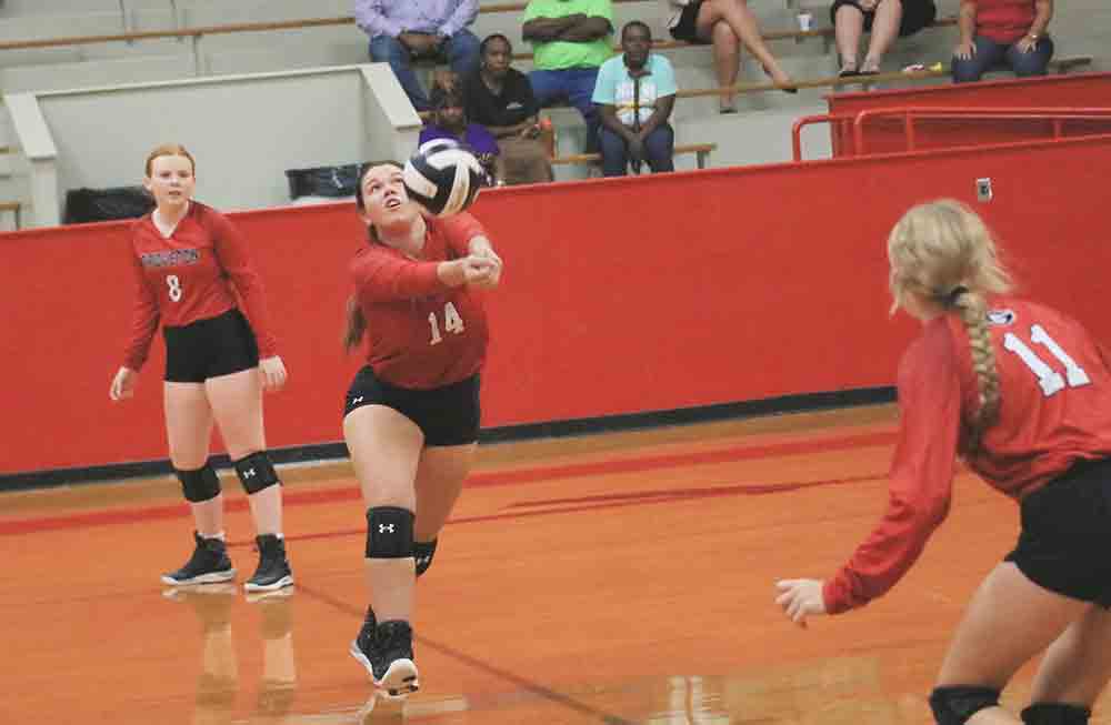 roveton’s Paislie Voelker (No. 14)  reaches out for the dig.  Photo by Tony Farkas