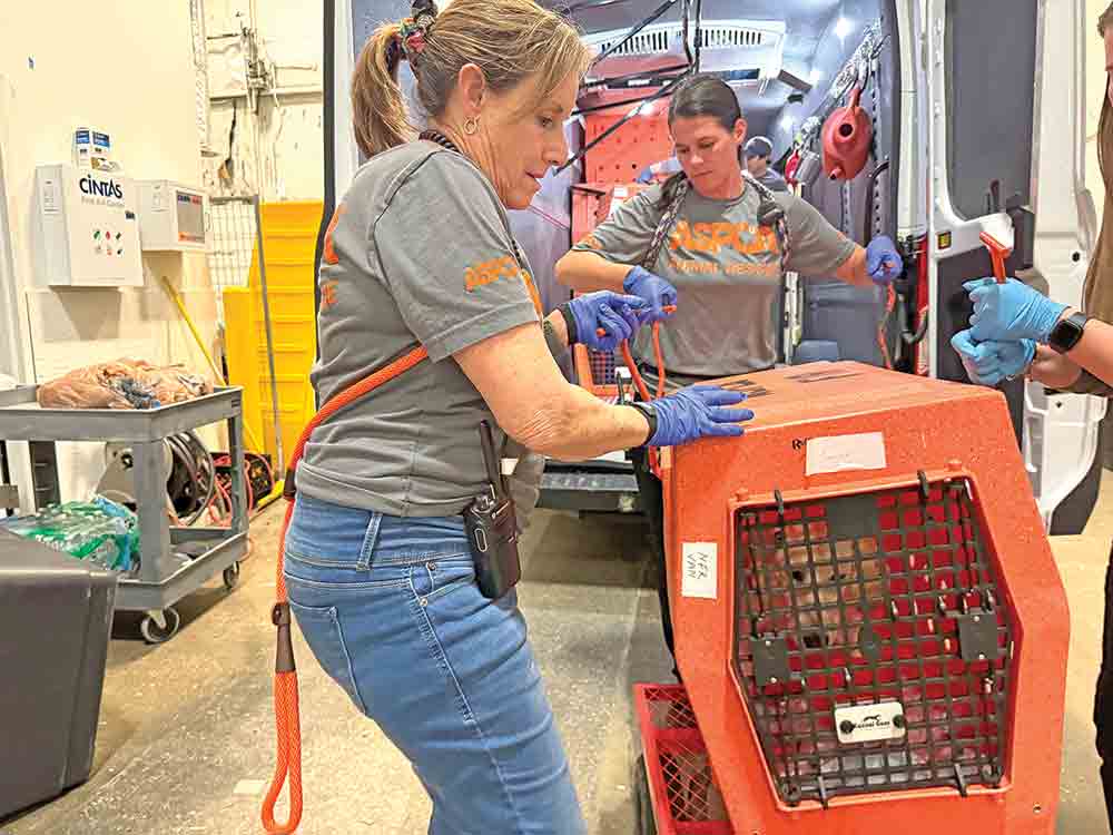 ASPCA volunteers load pets from the San Jacinto County Animal Shelter for transfer to make room for other animals unhomed in the recent torrential rains.