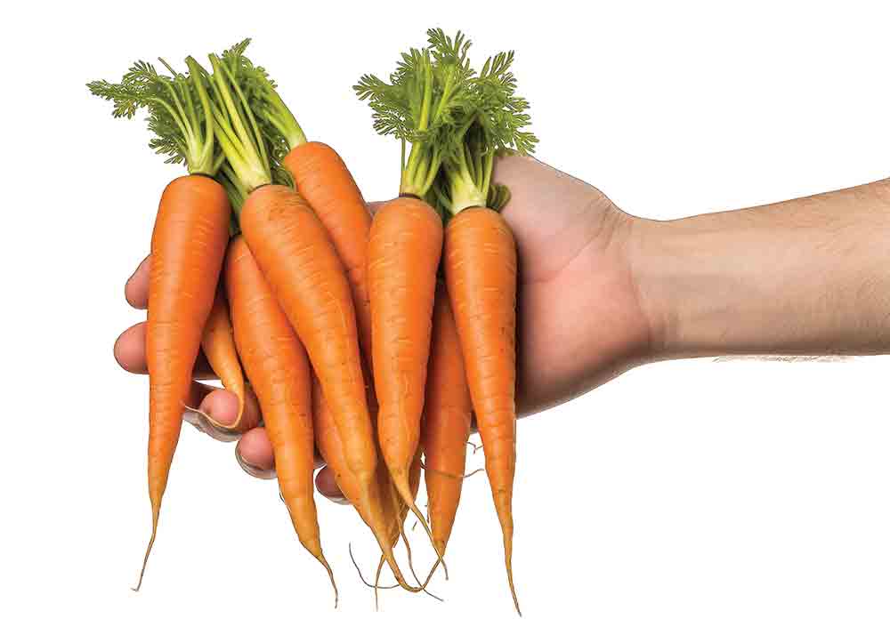 carrotts