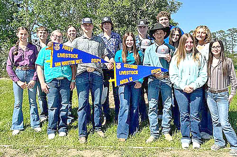 cocisd ffa