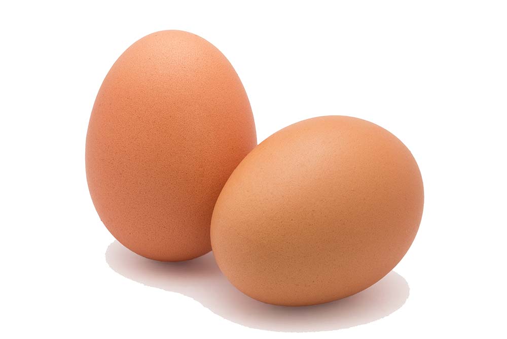 egg