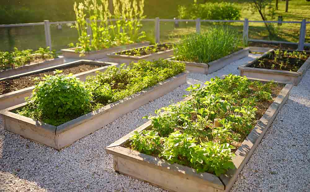 Garden STOCK