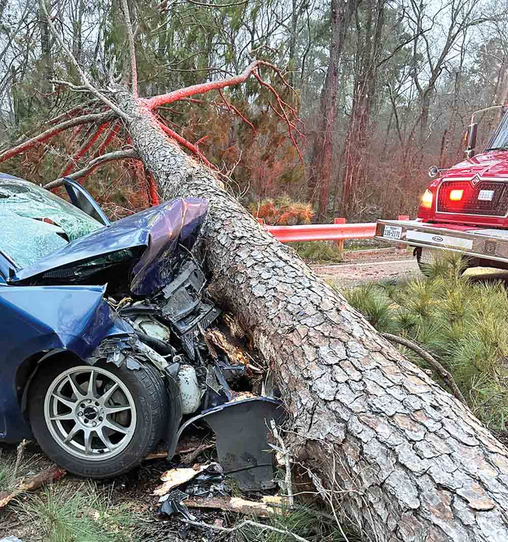 Two people were injured after colliding with a fallen tree on FM 2262 on Saturday. Courtesy photo